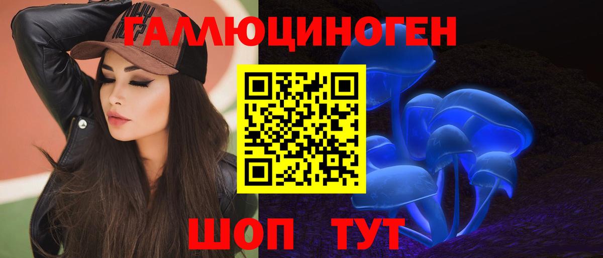 Псилоцибиновые грибы мицелий Похвистнево