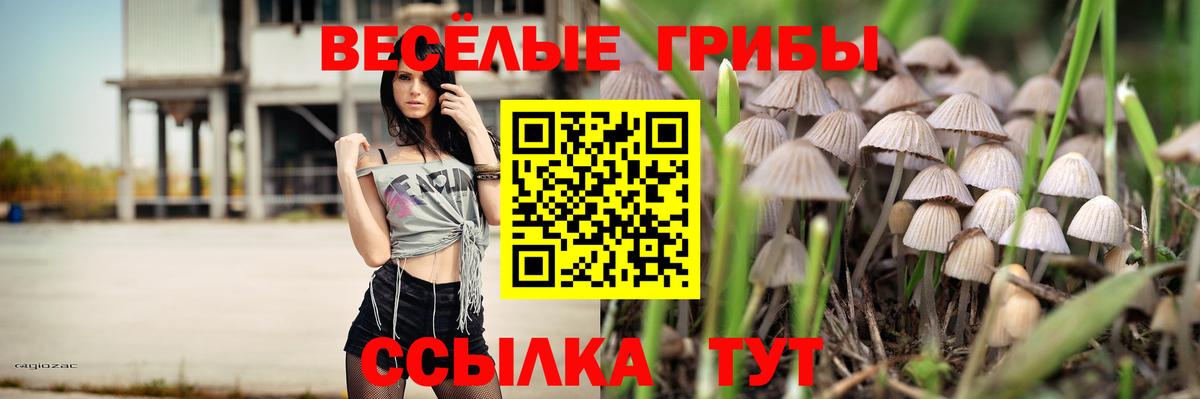 Псилоцибиновые грибы мицелий  наркота  Похвистнево  Вход с VPN 